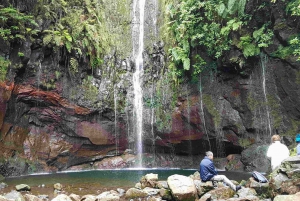 Madeira: Private Walking Tour of Levada das 25 Fontes PR6