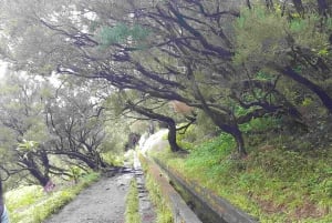 Madeira: Private Walking Tour of Levada das 25 Fontes PR6