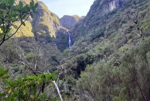 Madeira: Private Walking Tour of Levada das 25 Fontes PR6