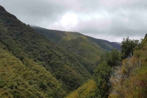 Madeira: Private Walking Tour of Levada das 25 Fontes PR6