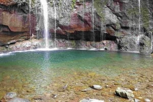 Madeira: Private Walking Tour of Levada das 25 Fontes PR6