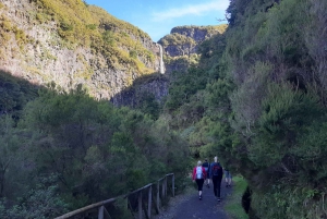 Madeira: Private Walking Tour of Levada das 25 Fontes PR6