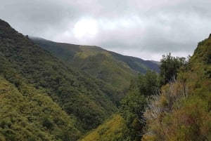 Madeira: Tour a pie privado de Levada das 25 Fontes PR6