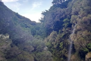 Madeira: Tour a pie privado de Levada das 25 Fontes PR6