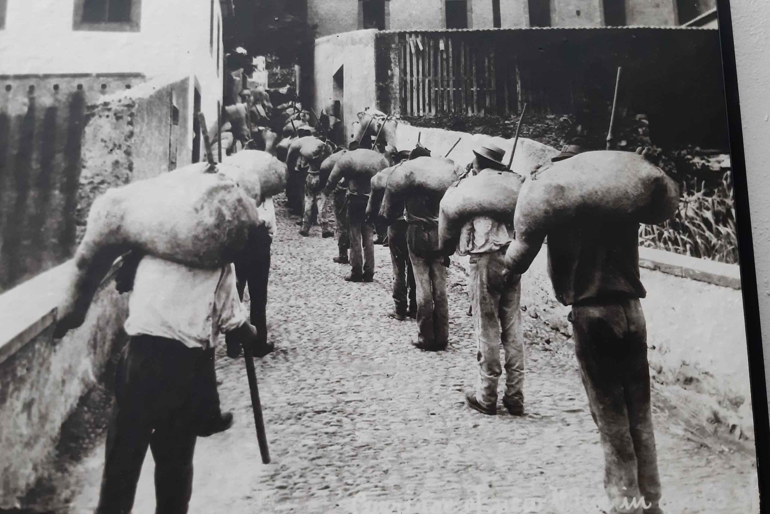 Madeira: Privat helgvinsmaking i São Vicente