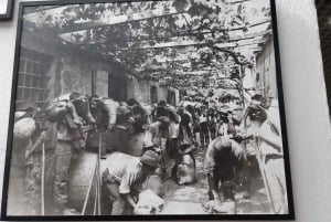 Madeira: Private Weekend Wine Tasting in São Vicente