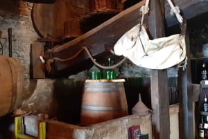 Madeira: Private Weekend Wine Tasting in São Vicente