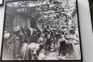 Madeira: Privat helgvinsmaking i São Vicente