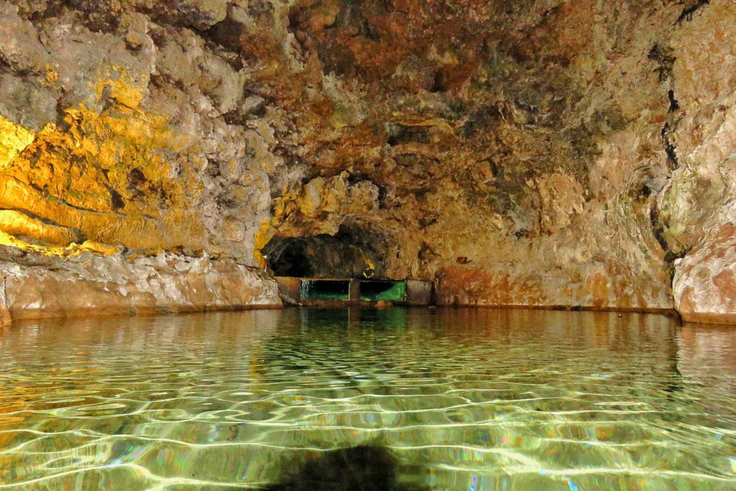 Madeira: Privat vinopplevelse med 4WD