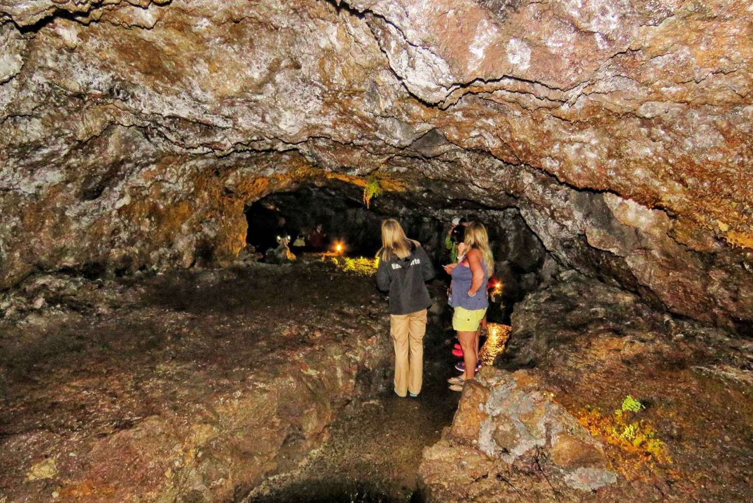 Madeira: Privat vinopplevelse med 4WD