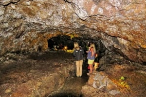 Madeira : Private wine experience by 4WD