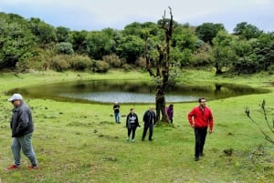 Madeira : Private wine experience by 4WD