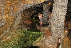 Madeira : Private wine experience by 4WD