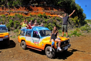 Madeira: Privat vinopplevelse med 4WD