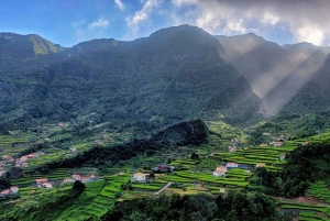 Madeira: Privat vinopplevelse med 4WD