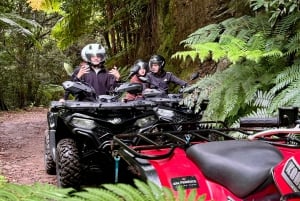 Madeira: Quad Bike Off-road Experience