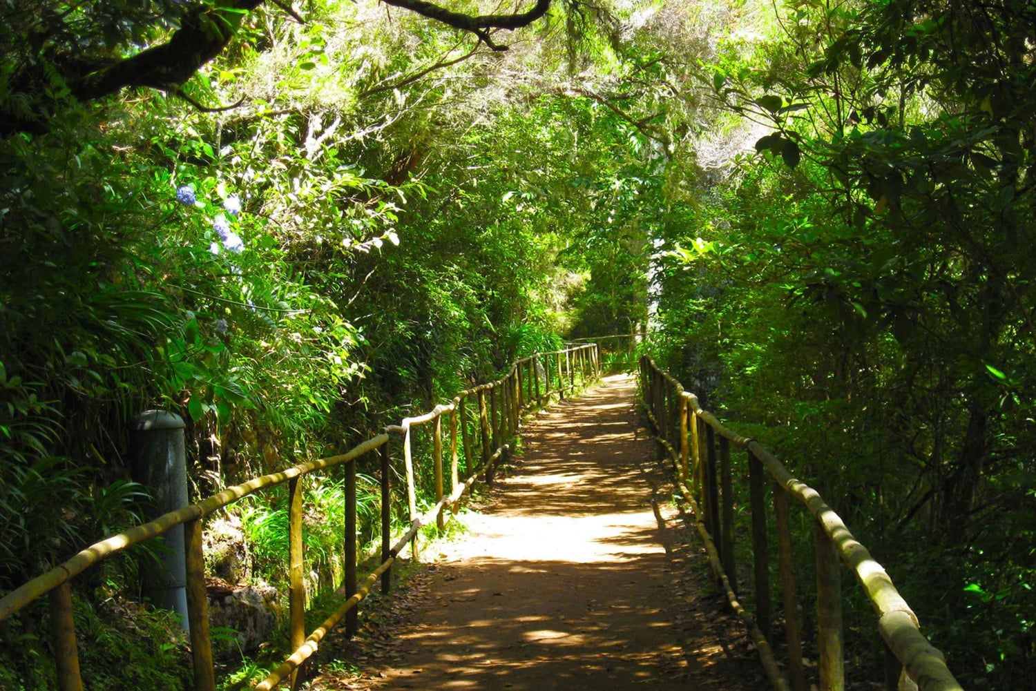 Madeira: Queimadas, Caldeirão Verde e Passeio da Levada