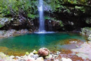 Madeira: Queimadas, Caldeirão Verde and Levada Walk