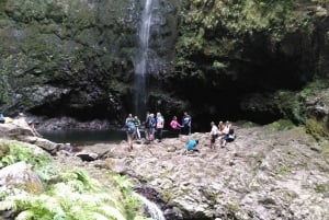 Madeira: Queimadas, Caldeirão Verde and Levada Walk