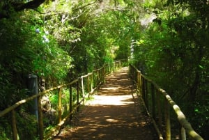 Madeira: Queimadas, Caldeirão Verde and Levada Walk