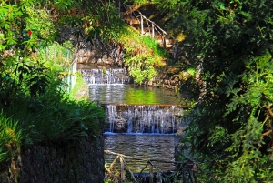 Madeira: Queimadas, Caldeirão Verde and Levada Walk