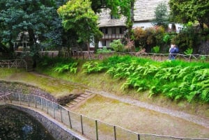 Madeira: Queimadas, Caldeirão Verde and Levada Walk