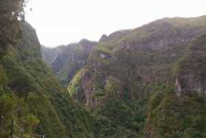 Madeira: Queimadas, Caldeirão Verde and Levada Walk