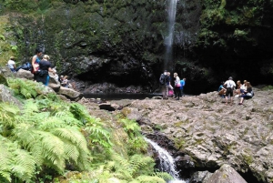 Madeira: Queimadas, Caldeirão Verde and Levada Walk