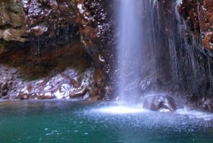 Madeira: Queimadas, Caldeirão Verde and Levada Walk