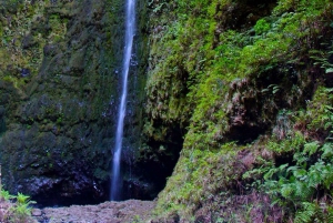 Madeira: Queimadas, Caldeirão Verde and Levada Walk