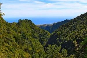 Madeira: Queimadas, Caldeirão Verde and Levada Walk