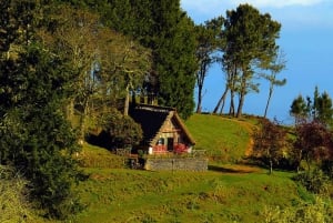 Madeira: Queimadas, Caldeirão Verde e Passeio da Levada