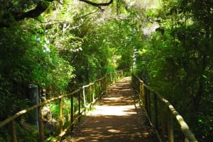 Madeira: Queimadas, Caldeirão Verde e Passeio da Levada
