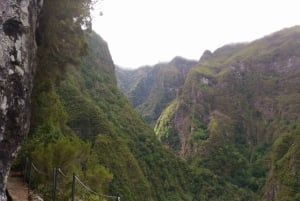 Madeira: Queimadas, Caldeirão Verde e Passeio da Levada