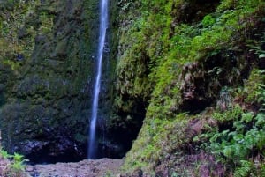 Madeira: Queimadas, Caldeirão Verde e Passeio da Levada