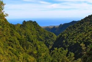 Madeira: Queimadas, Caldeirão Verde e Passeio da Levada
