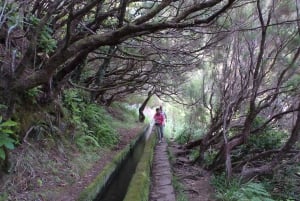 Madeira: Rabaçal 25 Fountains Levada Walk & Cabo Girão