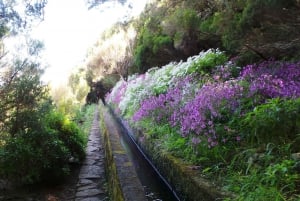 Madeira: Rabaçal 25 Fountains Levada Walk & Cabo Girão