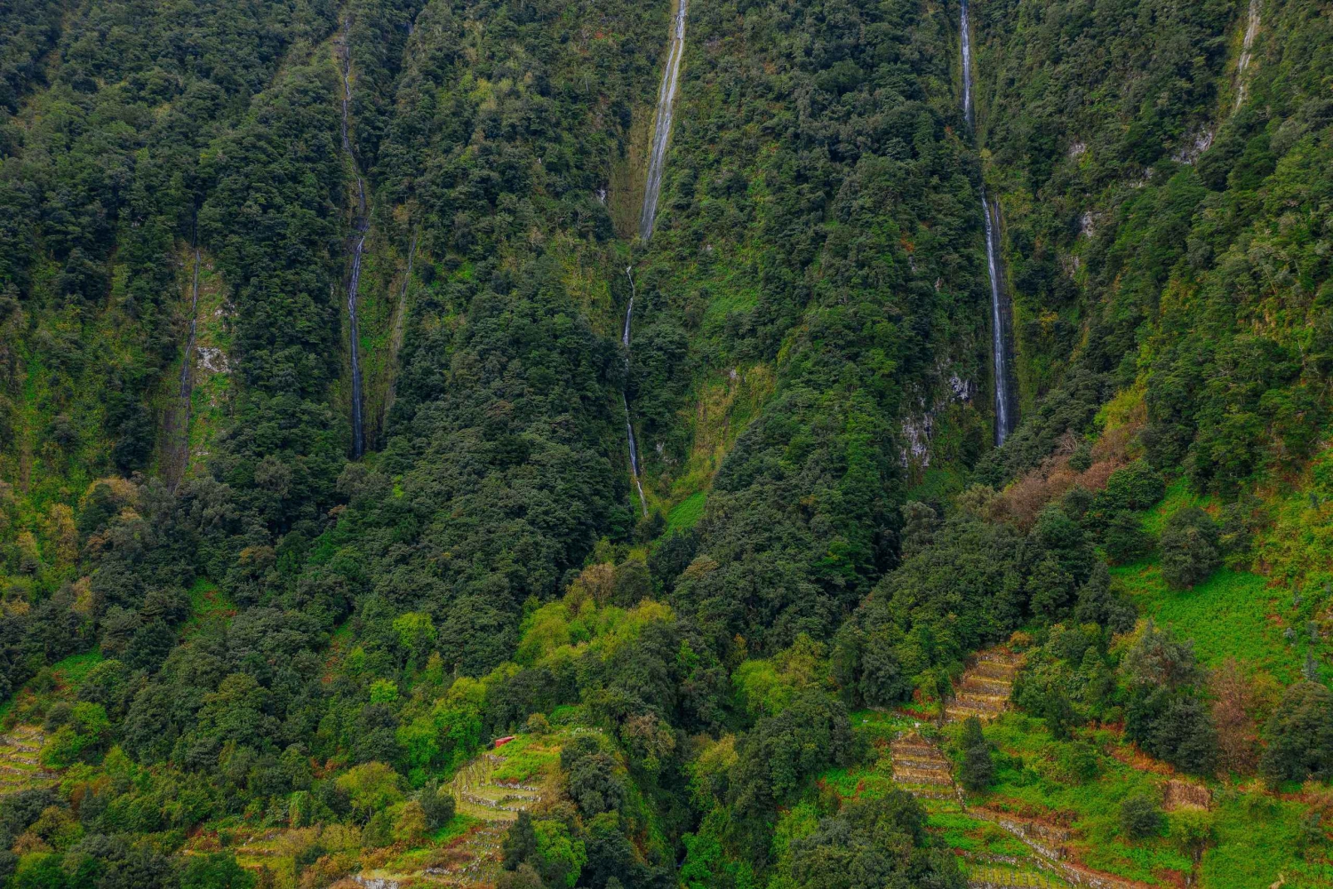 Madeira: Rabaçal Private Guided Walking Tour with Guide