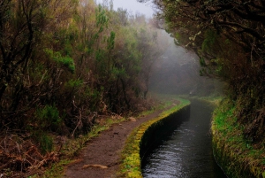 Madeira: Rabaçal Private Guided Walking Tour with Guide