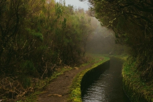 Madeira: Rabaçal Private Guided Walking Tour with Guide