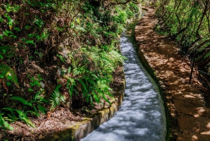 Madeira: Rabaçal Private Guided Walking Tour with Guide