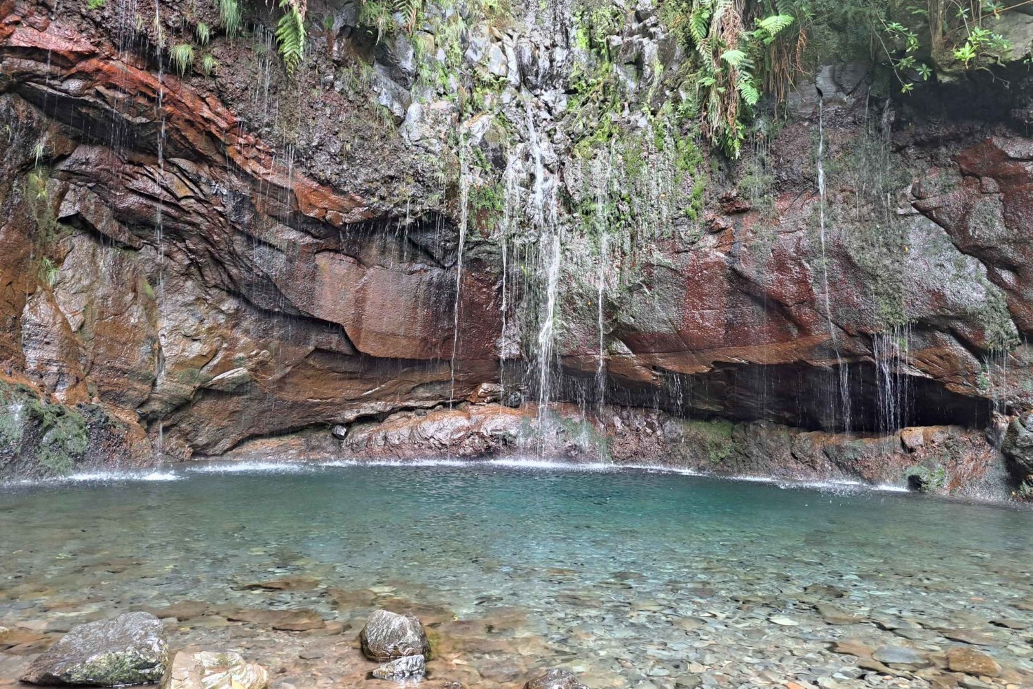 Madeira: Rabaçal, Risco and 25 Fontes Guided Hiking Tour