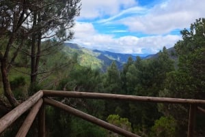 Madeira: Rabaçal, Risco and 25 Fontes Guided Hiking Tour