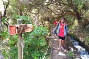 Madeira: Rabaçal, Risco and 25 Fontes Guided Hiking Tour