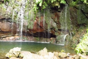 Madeira: Rabaçal, Risco and 25 Fontes Guided Hiking Tour