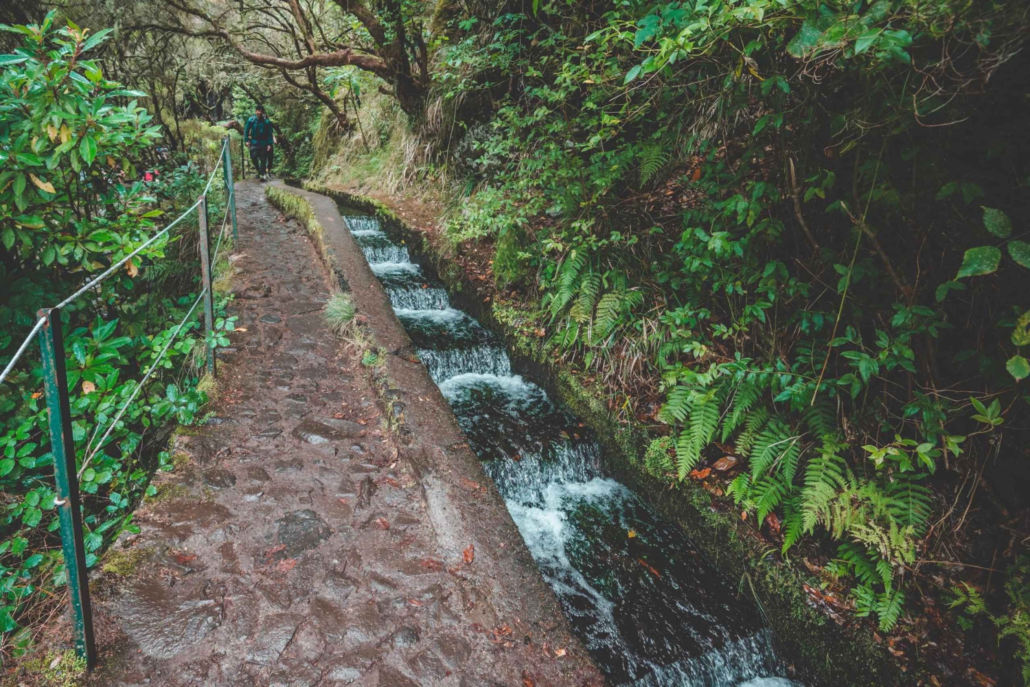 Madeira: Rabaçal Valley and the 25 Fountains Hike
