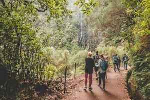 Madeira: Rabaçal Valley and the 25 Fountains Hike