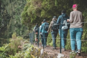 Madeira: Rabaçal Valley and the 25 Fountains Hike