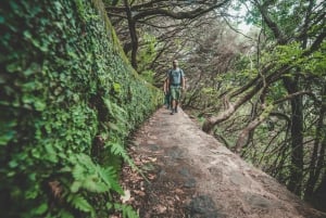 Madeira: Rabaçal Valley and the 25 Fountains Hike